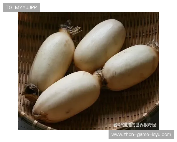 ¦ó+¡-++õ++ÐÁ-Àú¦Ã¦Àµ¢°ðð¢³¥Ó+ÙÂ¿ÁÒ+õ++ÐÁ-À¦++²ðð¦½--